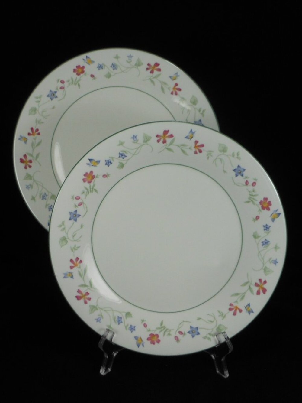 set of 2 Royal Doulton Expressions Florentina dinner plates